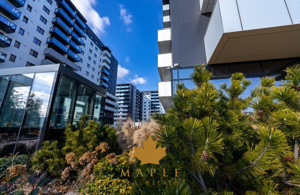 De inchiriat: apartament 2 camere | Cortina North Pipera | NOU 