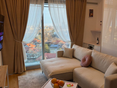 Apartament 2 Camere de Inchiriat Up-Site Floreasca Nou | Premium