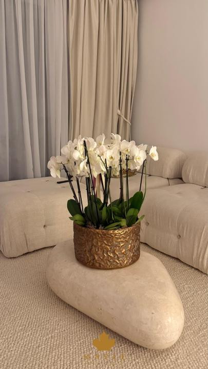 De inchiriat: Apartament 2 camere | Parcare | Cortina North Aviatiei Pipera