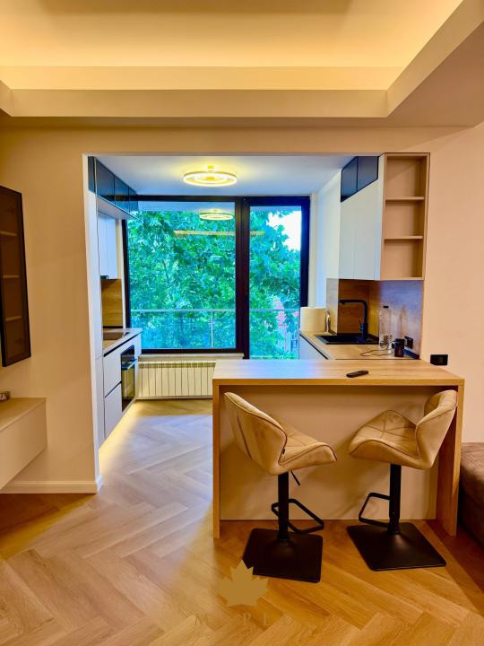 De inchiriat: Studio | North Area Lake View Herastrau | Boutique NOU